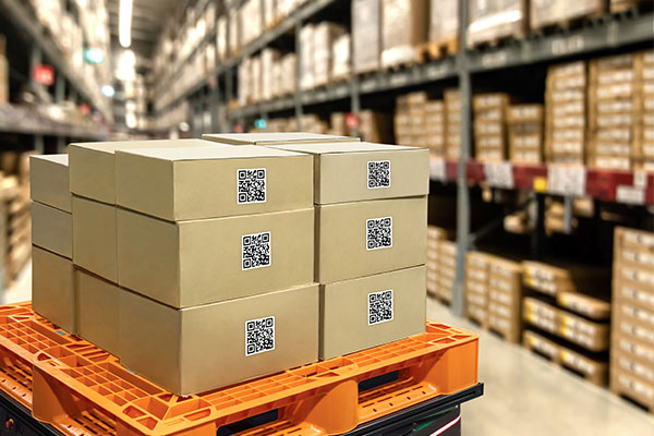 supply-cahin-consulting | Navazon Digital