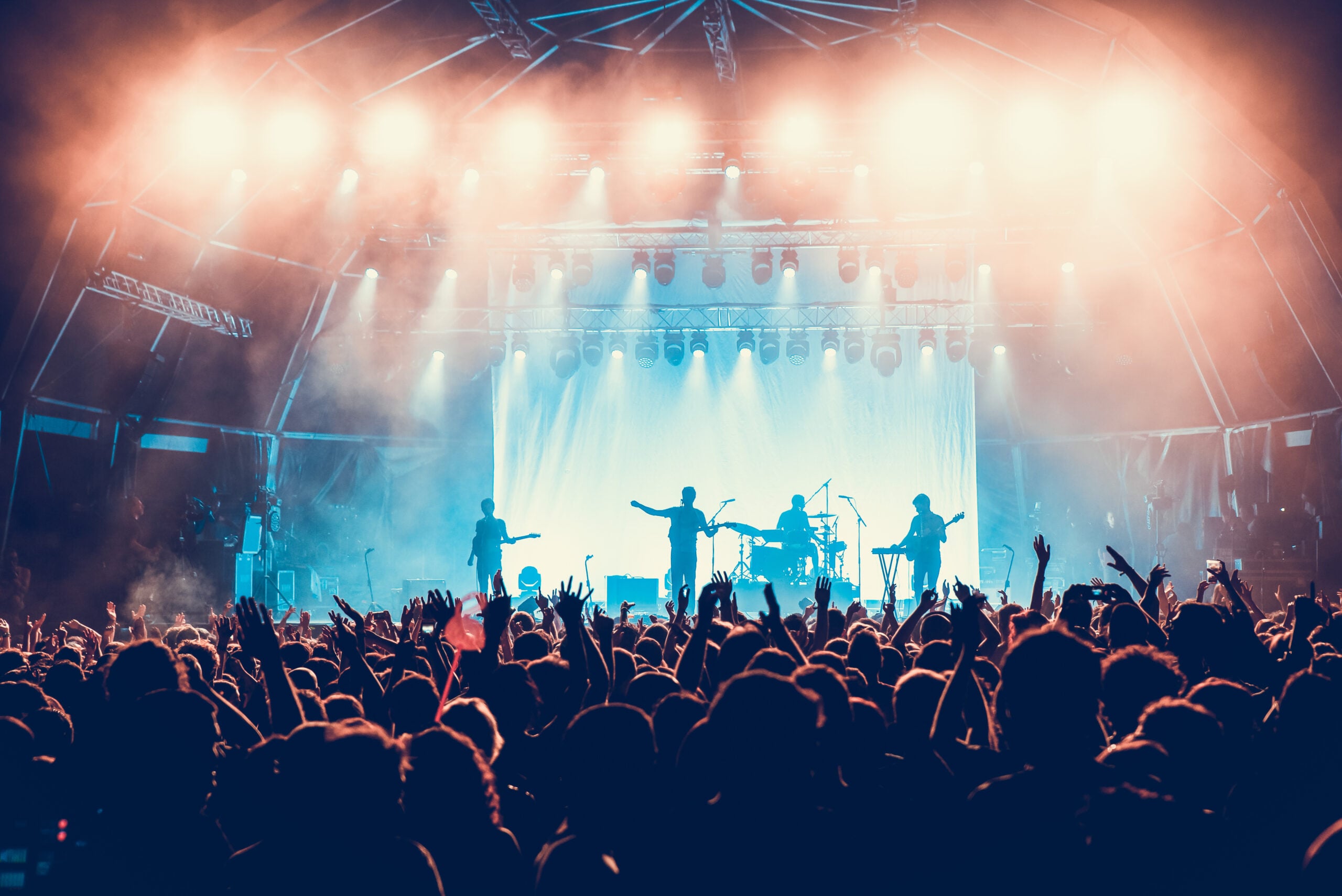 The crowd in a concert | Navazon Digital