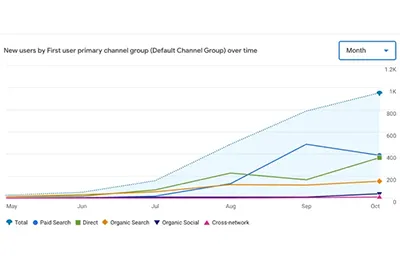 Line chart of new users by channel over May–Oct; total increases steadily, with Organic Search and Direct contributing most growth.